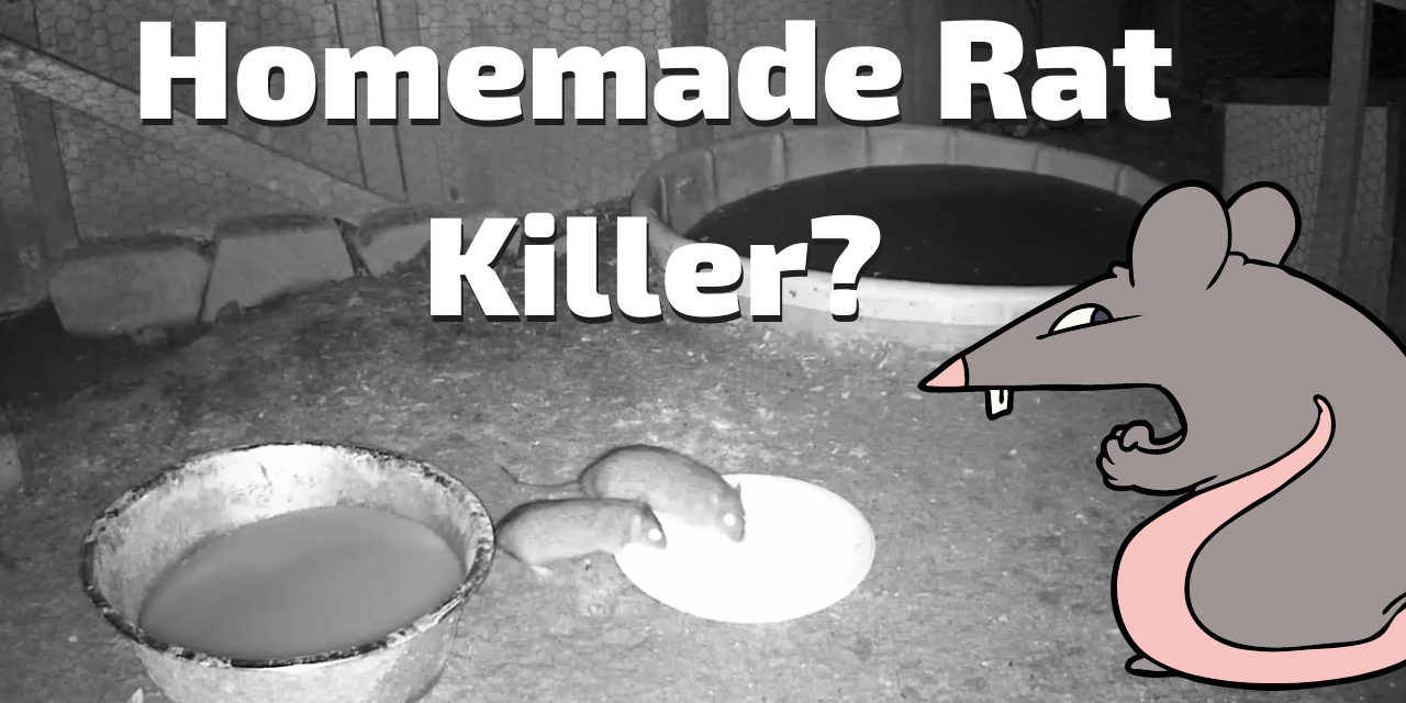 Homemade Rat killer? - Rob's Backyard BBQ